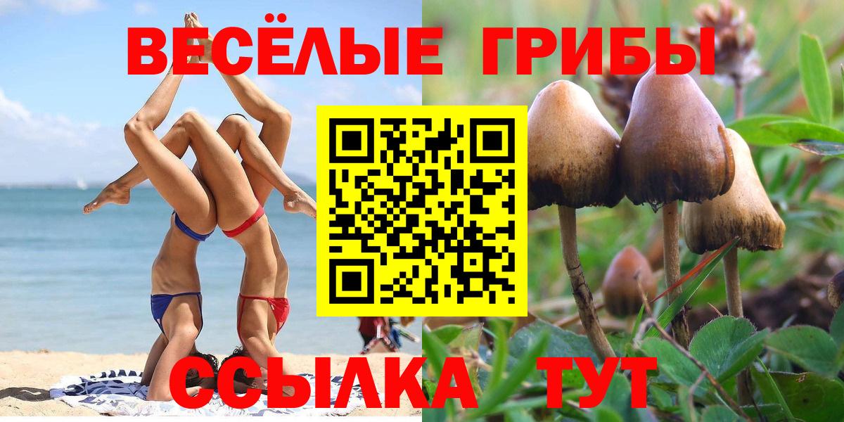 Псилоцибиновые грибы Psilocybine cubensis  Вход с VPN  наркота  Электрогорск 