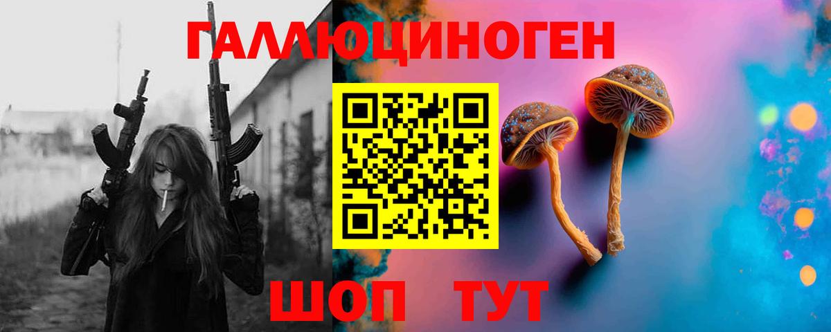 Псилоцибиновые грибы GOLDEN TEACHER Электрогорск